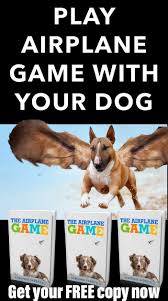 Airplane Game For Dogs Puppy Dog Training Dog Games Dog Help