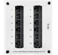12-Port Cat 6 Network Interface Module