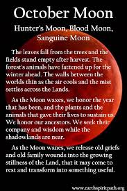 October Moon In 2020 Charmed Book Of Shadows Moon Witch Modern Day Witch