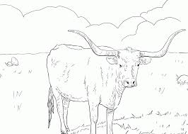 *free* shipping on qualifying offers. Texas Longhorn Coloring Page Coloring Home