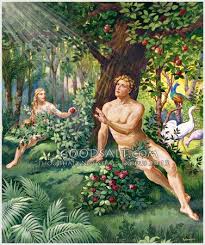 Adam And Eve Adam And Eve Genesis Adam And Eve Bible Illustrations