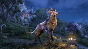 Witches Festival: Dremora Plunder Skull Check List 2021 :  R/Elderscrollsonline