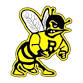 Amherst Girls Varsity Volleyball @ Rosholt