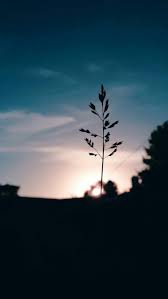 The Beach Boys Wouldn T It Be Nice перевод Life Wouldn T Be Enough Fotografi Alam Pemandangan Latar Belakang