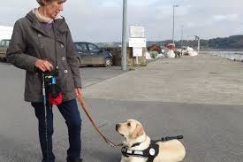 We did not find results for: Un Nouveau Chien Guide D Aveugle Pour Daniele Le Tregor