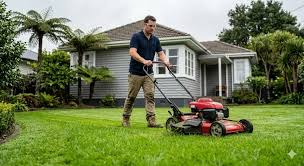 Lawn Care Tips & Advice | Pro Property Lawn Mowing Blog