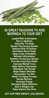 Moringa Benefits For Men And Women Moringa Benefits Coconut Health Benefits Herbs