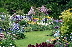 Iris Garden Design Iris Garden Crafthubs Best Designs Home Interior Decorating Ideas Iris Garden Cottage Garden Beautiful Flowers Garden