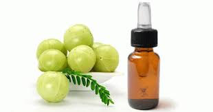 Amla Yaginin Saca Faydalari Ve Amla Yagi Saca Nasil Uygulanir