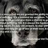 Our consultation costs are the same as our euthanasia. 1
