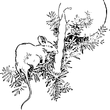 Gambar ikan hitam putih infoikan.com ikan adalah anggota vertebrata poikilotermic (berdarah dingin) yang hidup di air dan bernapas dengan insang. Mouse Lilin Pohon Natal Tema Gambar Vektor Gratis Di Pixabay