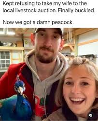 IF A BEAR HAS YOU STUCK IN A TREE TRY to M ELBOW IT witglerandorr., BETTER  TO DIE A MAN' DEATH