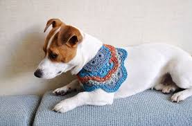 Doggie Crochet I Have No Clue When I Will Do This Or For Which Pup But Too Stinking Cute Dog Sweaters Crochet Dog Dog Collar Tags