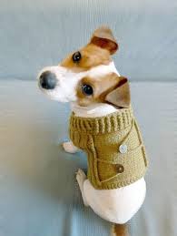 Hey Share Cute Dog Sweaters Baby Dogs Dog Sweater Pattern