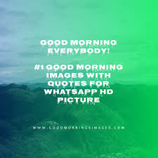 We already have a huge collection of beautiful good morning images for whatsapp. 1 Good Morning Images With Quotes For Whatsapp Hd Picture