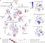 Single cell molecular alterations reveal target cells and ...