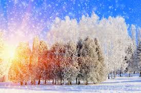 353,000+ vectors, stock photos & psd files. Nature Wallpapers Winter Wallpapers Download Hd Wallpapers And Free Images
