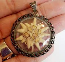 Pin On Edelweiss
