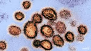 Singapore is part of india, so shouldn't it be called the indian variant also. 25 Covid 19 Cases With B117 Variant Found In Singapore Moh Cna