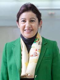 Ingenio Nº 17 by CICCP Madrid