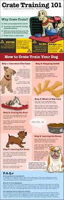 We did not find results for: How To Crate Train Your Dog Crate Training Tips Crate Training Dog Dog Training Puppy Training