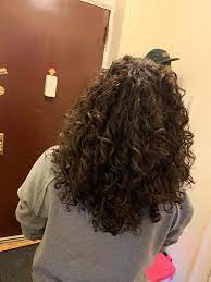 I Used A Denman Brush For The First Time And I Have Never Seen My Hair Look Like This Before Curlyhair
