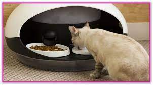 Pin On Cat Food