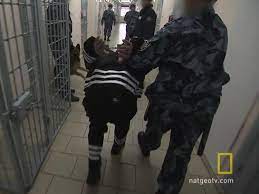 Check spelling or type a new query. Inside Russia S Black Dolphin Prison