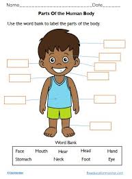 Help kids learn with this collection of free worksheets. Free Body Parts Worksheets For Kids Edumonitor