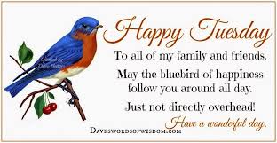 To All Of My Family And Friends May The Bluebird Of Happiness Follow You Around All Day Just Not Directly Overhead Pictures Photos And Images For Facebook Tumblr Pinterest And Twitter