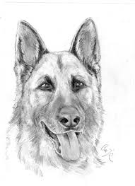 Disegni Difficili Da Colorare Fantastico Disegni Di Cane Difficili Da Colorare Coloratutto We Disegni Di Cane Disegni Arte Di Cani