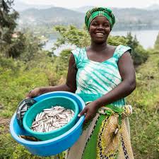 Lake kivu is one of the freshwater lakes in africa's great rift valley. Snap Up A Silvery Delicacy From Lake Kivu Rwanda Rwanda Holidays The Guardian
