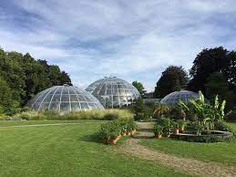 Etwa 10.000 pflanzenarten wachsen auf dem gelände am rande des großen gartens. Spannende Fuhrung Viel Wissen Zum Aufsaugen Botanischer Garten Zurich Reisebewertungen Tripadvisor