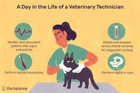 Veterinary assistants help the veterinarian and other staff members maintain the veterinary clinic, research lab, or other zoological facility. What Is A Veterinary Assistant Called