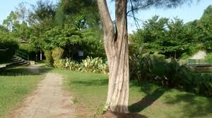 Located in the ipoh city area, tecoma condo eco park is the ideal point of departure for your excursions in ipoh. Eco Park 1 Bandar Seri Botani Ipoh Walkthrough Youtube