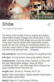 Check spelling or type a new query. Facebook User Creates Fake Wikipedia Pages For Dog Breeds Daily Mail Online