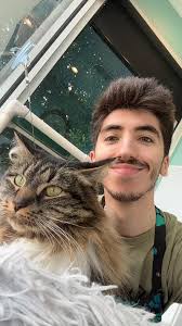 Upon the onset of catnip pandemonium... #officialcatnipdealer