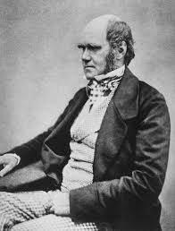 Image result for darwin