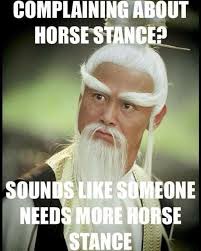 A Master Friend Just Shared This Meme With Me I Need It On A Shirt To Wear Around Every Class Martial Arts Humor Karate Martial Arts Martial Arts Sparring