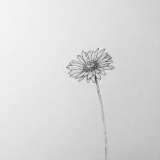 1006095 1491722594441771 5598260230671375748 N Jpg 640 640 Small Daisy Tattoo Flower Wrist Tattoos Daisy Tattoo