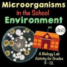 Middle And High School Students Love To Grow Bacteria In A Lab Setting In This Biology Lab Students Swab Dif Microorganisms Biology Labs High School Biology
