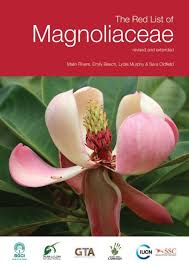 Image result for Magnoliaceae