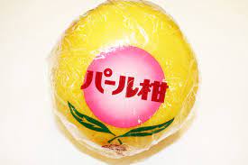 パール柑 文旦系の柑橘で 品種名は 大橘おおたちばな といいます パール柑 と呼べるのは 熊本県産だけに許された呼び名です 文旦の仲間なので 一玉450ｇ 600ｇほどの大きさになります 外皮は厚いので ナイフで切れ目をいれますが 一片ごとの身離れは