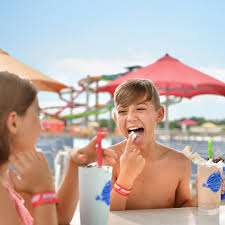 Soaky Mountain Waterpark