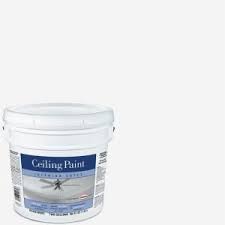 Enjoy The 2 Gallon Flat Interior Ceiling Paint Gc1070 02 Covers Up To 250 Sq Ft Paint Hides Minor Painted Ceiling Ceiling Paint Colors White Ceiling Paint