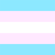 We did not find results for: Download Transgender Pride Flag 45 Transparent Twibbon Transgender Png Image With No Background Pngkey Com