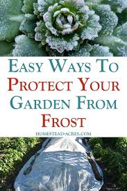 We did not find results for: How To Protect Your Vegetable Garden From Frost Homestead Acres