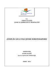 Http Webdosya Csb Gov Tr Db Ced Editordosya Aydin Icdr2014 Pdf