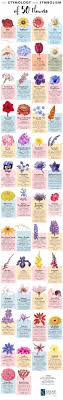 The Etymology And Symbolism Of 50 Flowers Infographic Flower Meanings Flower Names Different Kinds Of Flowers