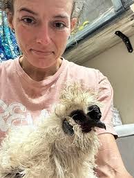 Amanda Showman's Instagram, Twitter & Facebook